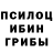 Галлюциногенные грибы мухоморы Guy Perry