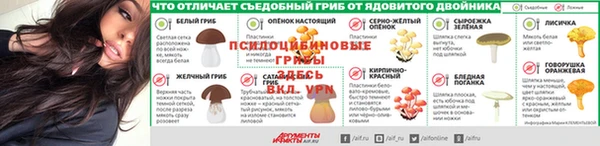 гидра Михайлов