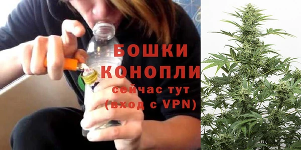 сатива Санкт-Петербург