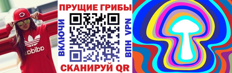 купить наркоту  Сухой Лог  Галлюциногенные грибы ЛСД 