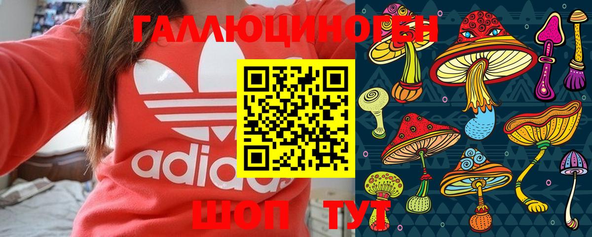 Галлюциногенные грибы Psilocybe Сухой Лог