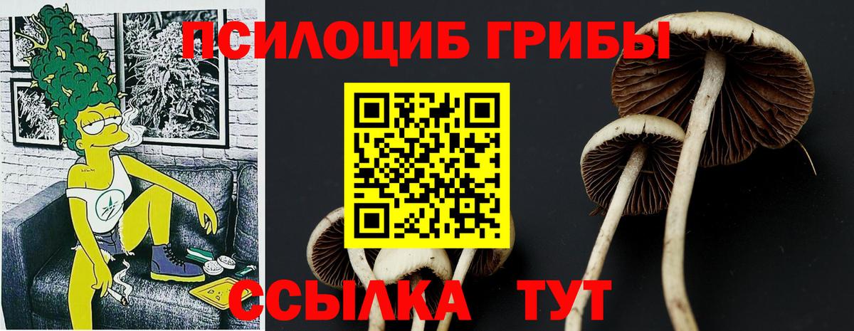 Галлюциногенные грибы мицелий  наркота  Сухой Лог  Вход с VPN 